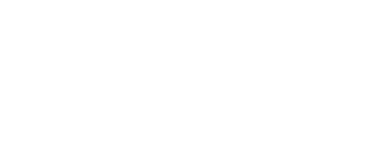 Bloom Consulting